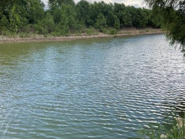 Land for sale in Nada, Texas