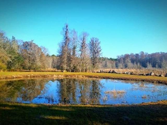 House for sale in Perry, Florida
