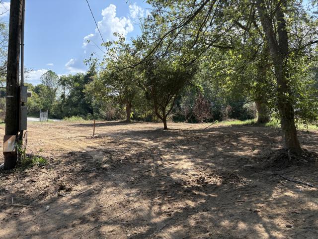 Land for sale in Chestnut Mound, Middle Tennessee