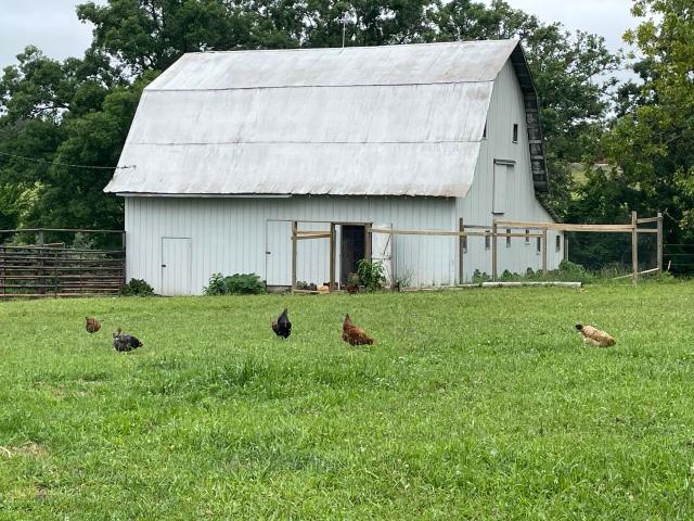 Farm for sale in Ava, Missouri