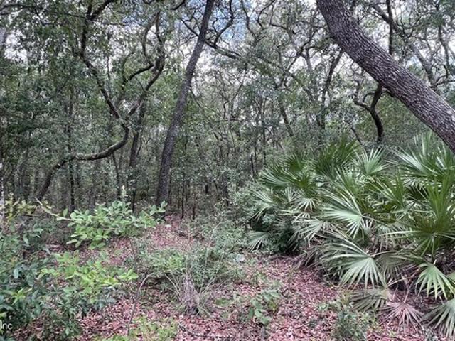 Land for sale in Interlachen, Putnam County