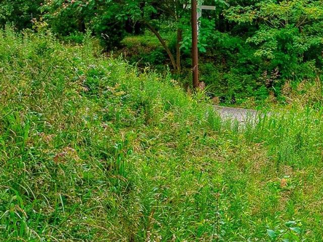 Land for sale in Tennessee