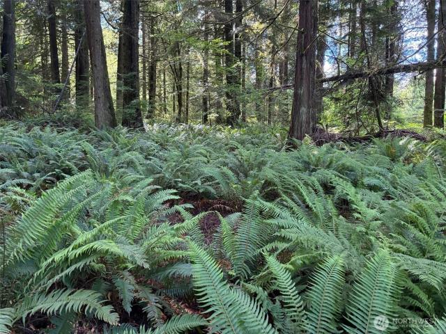 Land for sale in Snohomish, Washington