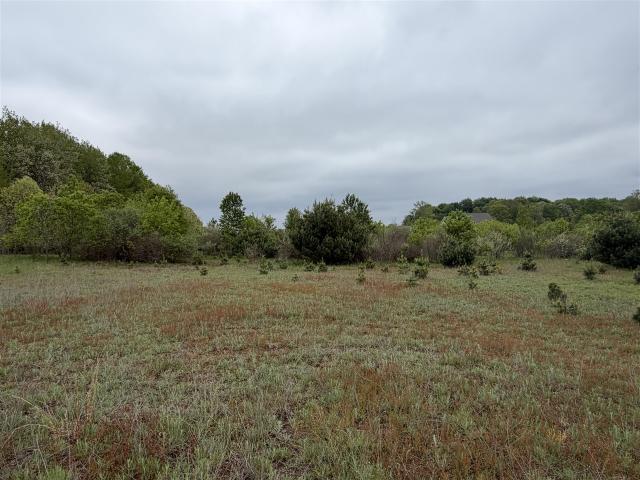Land for sale in Michigan