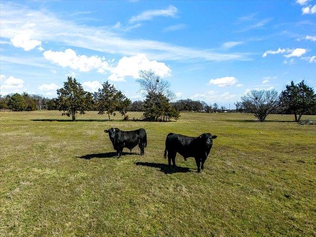 Farm for sale in Navarro, Texas