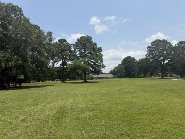 Land for sale in Manning, South Carolina