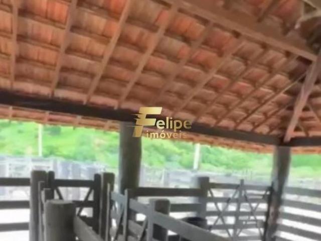 Sítio e chácara venda em Região Geográfica Imediata de Governador Valadares, Governador Valadares