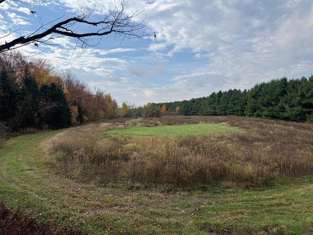 Land for sale in Bruce, Wisconsin