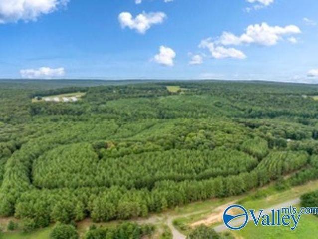Land for sale in Flat Rock, Alabama