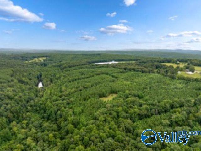 Land for sale in Flat Rock, Alabama