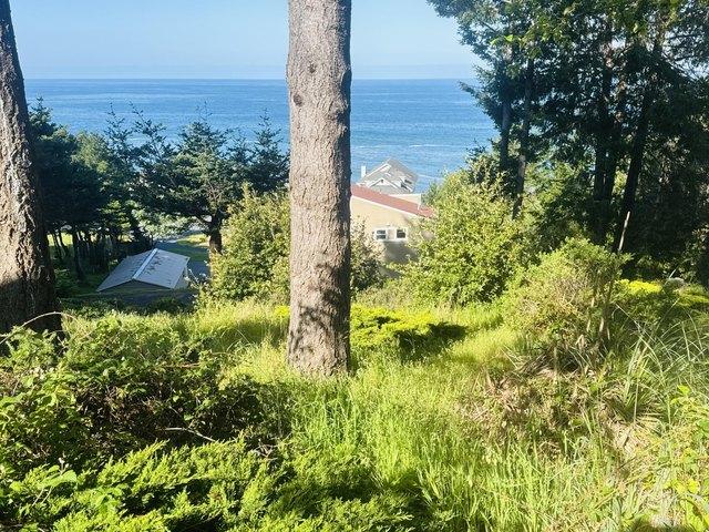 Land for sale in Humboldt, California