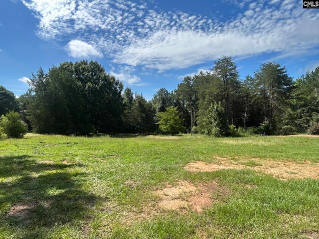 Land for sale in Little Mountain, South Carolina