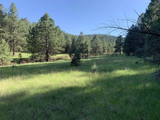 House for sale in Cloudcroft, New Mexico
