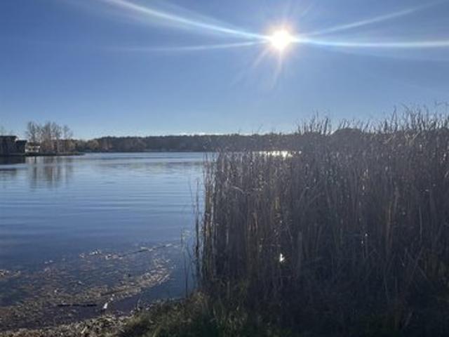 Land for sale in Cadillac, Wexford County