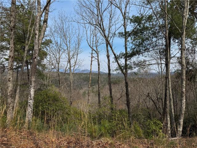 Land for sale in South Carolina