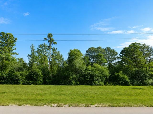 Land for sale in Walker, Texas