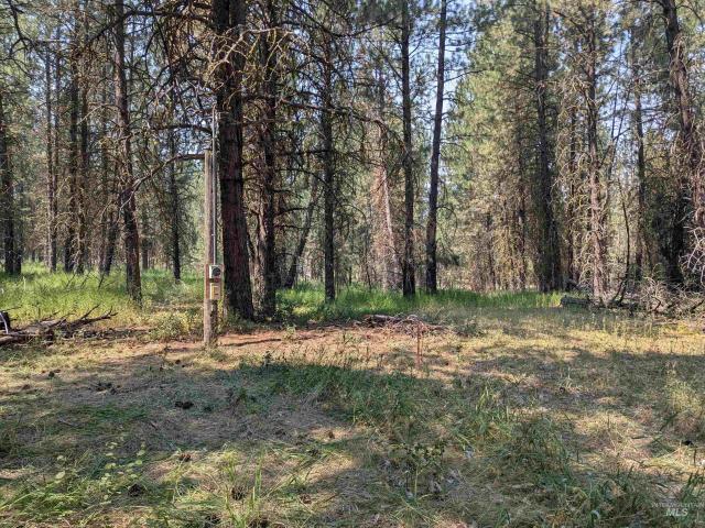 Land for sale in Cascade, Idaho