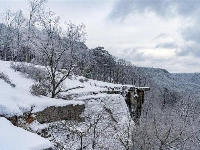 Farm for sale in Tennessee