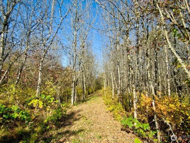 Land for sale in Toledo, Lewis County