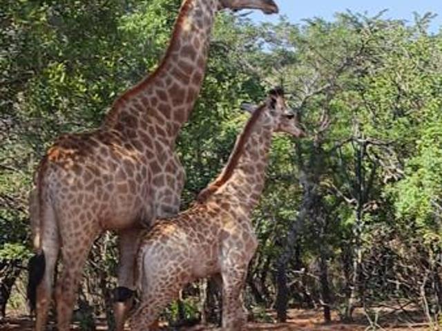Farm for sale in Dr Kenneth Kaunda, North West