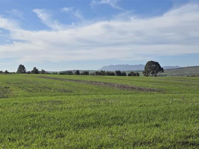 Farm for sale in Durbanville, Western Cape