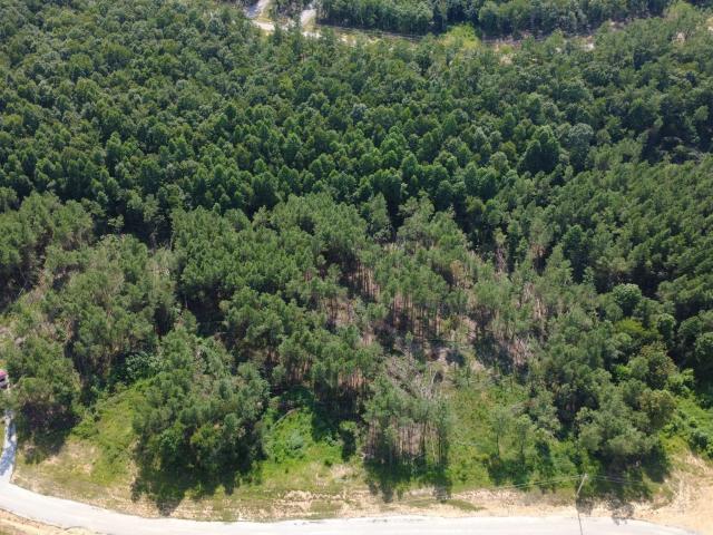 Land for sale in Tennessee