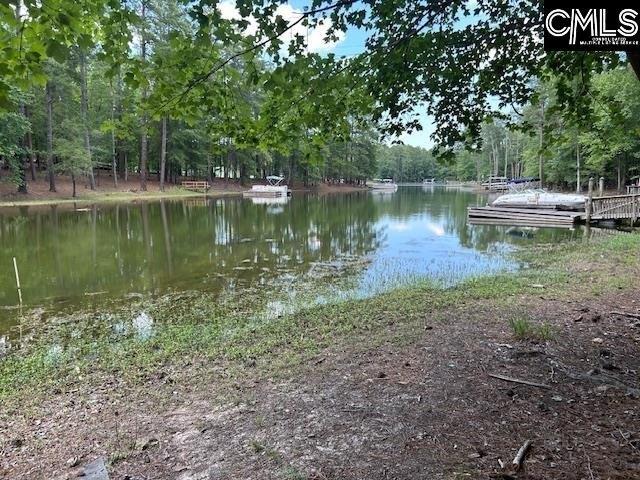 Land for sale in Gilbert, South Carolina