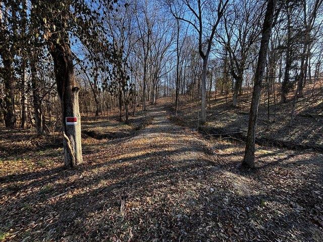 Land for sale in Tennessee
