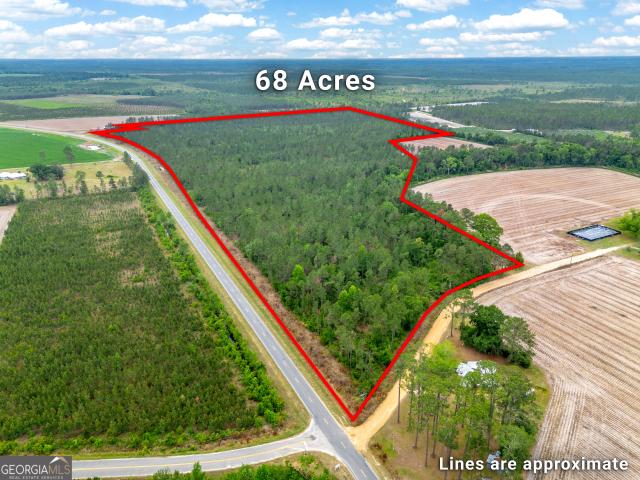 Land for sale in Nicholls, Georgia