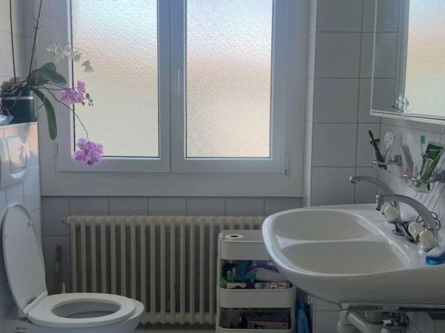 Studio mieten in Villars, Freiburg