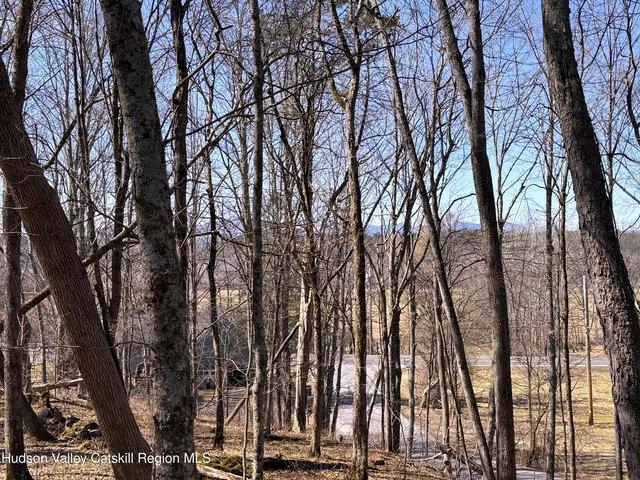Land for sale in Kingston, New York
