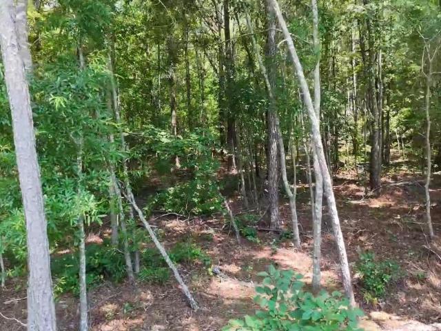 Land for sale in Edgefield, South Carolina