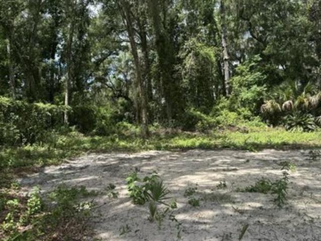 Land for sale in East Palatka, Florida