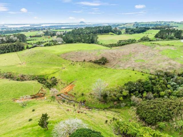 Property for sale in Bay Of Plenty