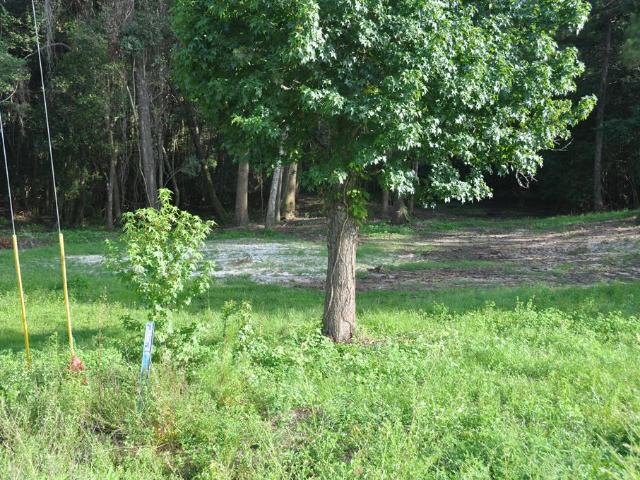 Property for sale in New Brockton, Alabama