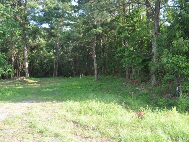 Land for sale in New Brockton, Alabama