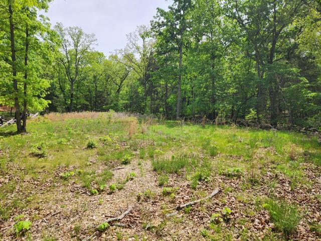 Land for sale in Stone, Missouri