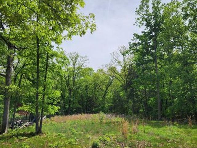 Land for sale in Stone, Missouri