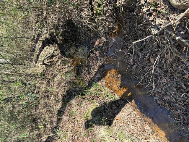 Land for sale in Waynesboro, Georgia