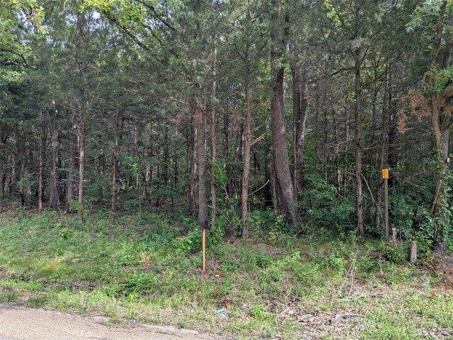Land for sale in Fruitvale, Texas