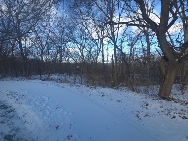Land for sale in Illinois