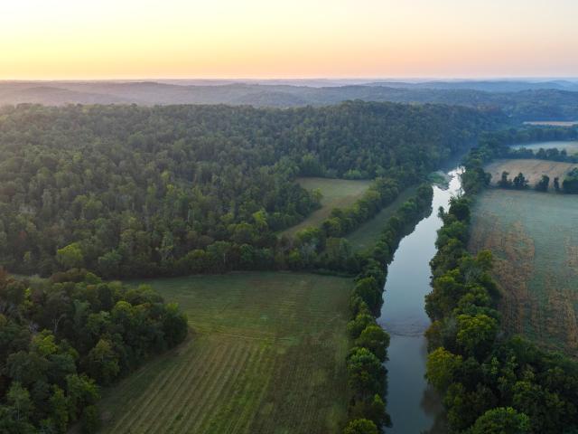 Farm for sale in Griffintown, White Bluff