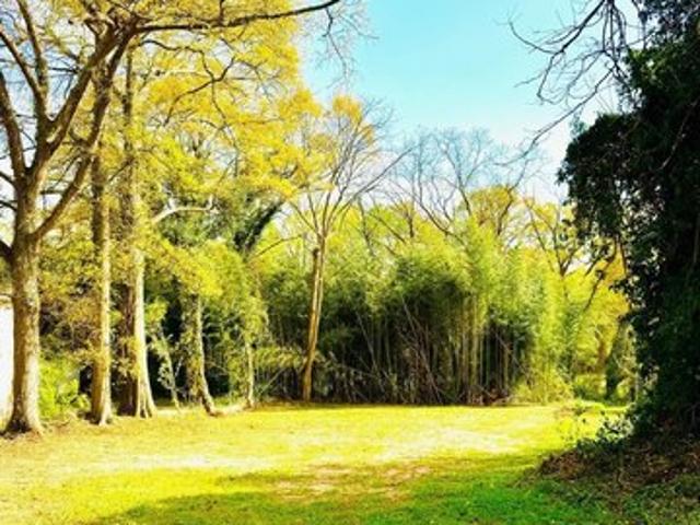 Land for sale in Greenville, South Carolina