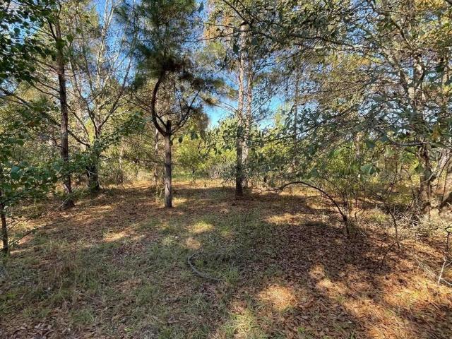 Land for sale in Lugoff, South Carolina