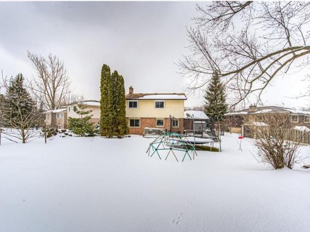 Apartment for rent in Kitchener, Ontario