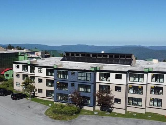 Condo for sale in Snowshoe, West Virginia