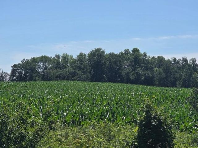 Land for sale in Frederic, Wisconsin