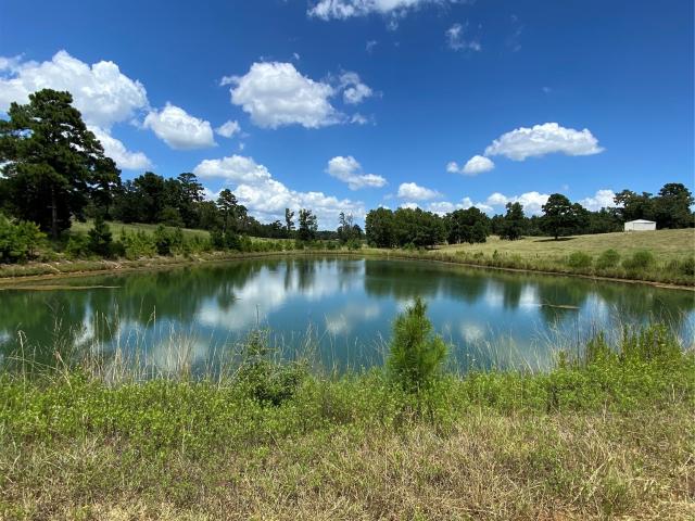 Land for sale in Leon, Texas