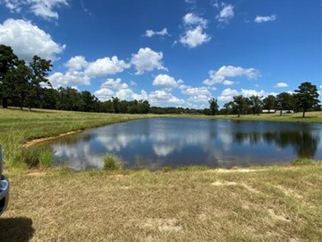 Land for sale in Leon, Texas