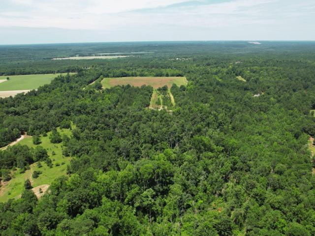 Land for sale in Blythe, Georgia